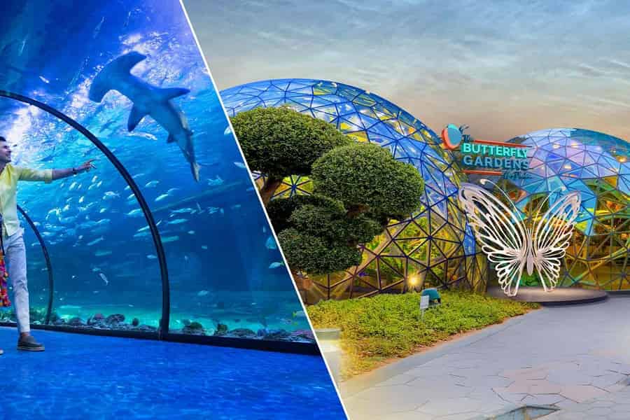 Abu Dhabi: Die Schmetterlingsgärten + Nationales Aquarium. Foto: GetYourGuide