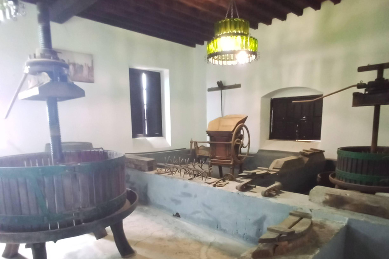 La Geria: wandeling tussen vulkanen en wijngaardenLa Geria: wandelen tussen vulkanen en wijngaarden