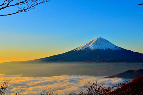 From Tokyo: Mount Fuji day Trip with English Speaking Driver From Tokyo: Private 1-Day Mount Fuji Charter with Driver