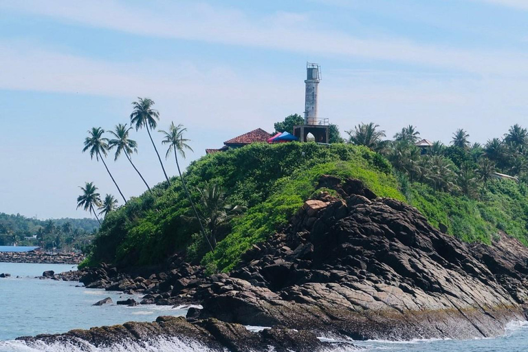 Mirissa: Whale & Dolphin Watching Boat Tour with Pickup Include Government Tax Fee