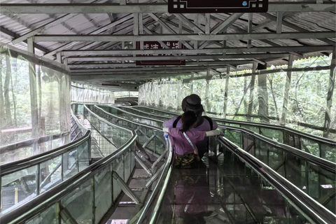 National Forest Park, Tianmen Mountain & Glass Bridge Ticket National Forest Park Ticket + 3 Cableways & 1 Elevator