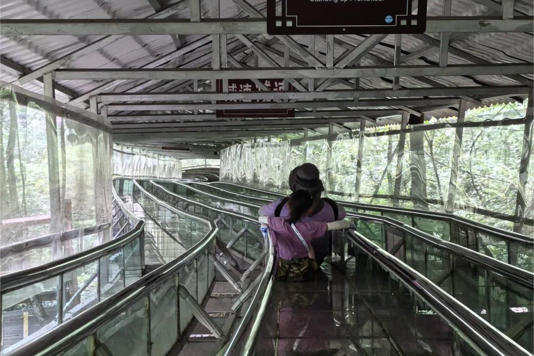 National Forest Park, Tianmen Mountain & Glass Bridge Ticket National Forest Park Ticket + 3 Cableways & 1 Elevator