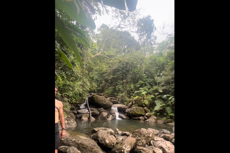 NanichiConcierge: El Yunque hiking (Contact first) NanichiConcierge: Tour with beautiful views and hiking.