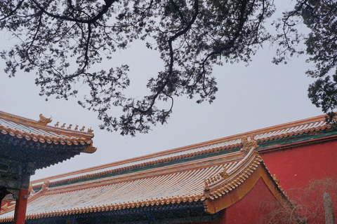 Pekín: Visita de un día a la Ciudad Prohibida y la Plaza de Tian&#039;anmen