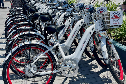 لوس أنجلوس ركوب الدراجة الإلكترونية على الشاطئ من شاطئ ريدوندو إلى سانتا مونيكالوس أنجلوس: ركوب ال