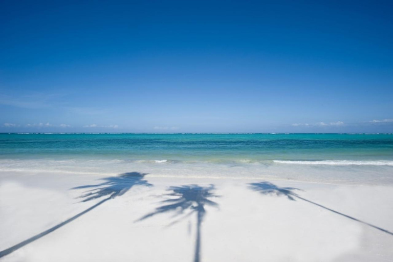 Zanzibar: The Rock, Paje Beach, Jozani Forest & Salaam Cave Prívate tour with No Hotel pick up and drop off.