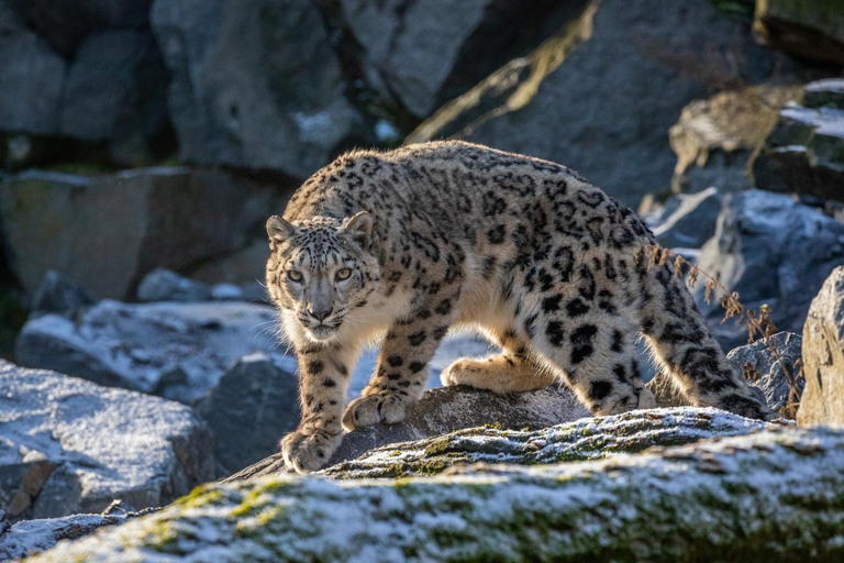 Berlín: Entradas para el zoo del este de BerlínBerlín: Entradas para el Tierpark de Berlín