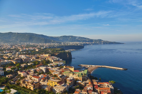 Da Napoli: Tour privato di Pompei, Sorrento e PositanoGuida turistica di Pompei in inglese/spagnolo/italiano (autista inglese)