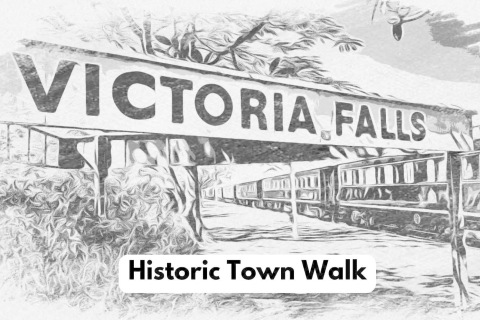 Victoria Watervallen: Historische stadstour + boswandelingVictoria Watervallen: Stads- en bushwandeling open einde Look Out Cafe