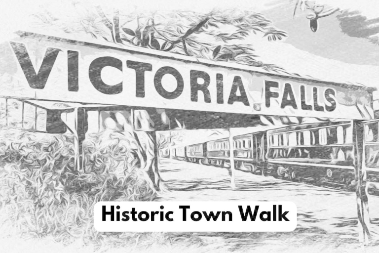 Victoria Falls : Visite à pied de la ville historique + promenade dans la brousseVictoria Falls : Visite pied à pied des points forts de la ville et promenade dans la brousse.