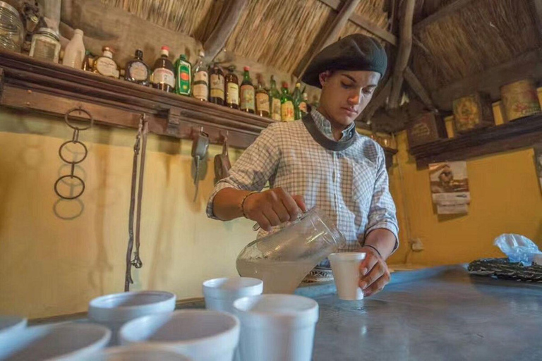 Buenos Aires: Santa Susana Ranch Day Tour, BBQ & Shows