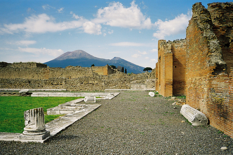 Pompeii ruins &amp; Vesuvius winery from Sorrento or Positano