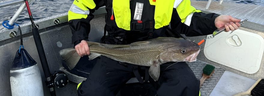 Tromsø : excursion de pêche privée