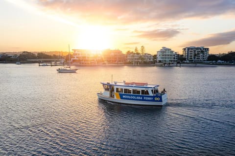 Mooloolaba: Hop-On Hop-Off Ferry Return Ticket - Image 2