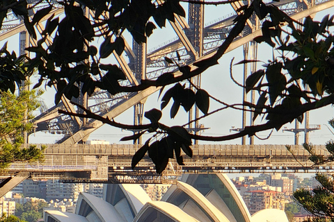Sydney: Sunset Kayak - Opera & Harbour Bridge Tour (5p. max)