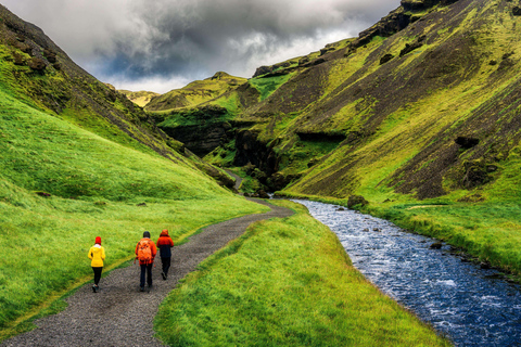 Reykjavik: South Coast Private Day Tour & a Polaroid Photo