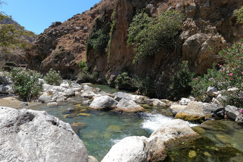 Kourtaliotiko Gorge River Trek with Lunch! Pick-up Avaliable Meeting Point