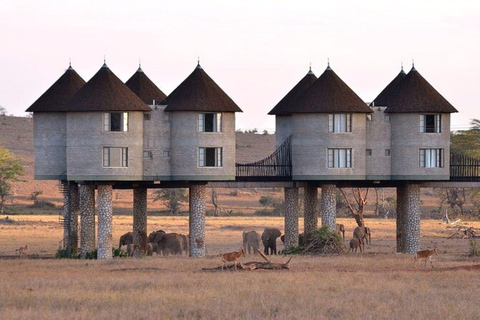 4 days Tsavo East, Amboseli and saltlick lodge safari