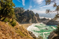 Monterey e Big Sur Discovery, tour privato da San Jose - Housity