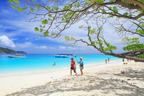 Phuket: Similan Islands Speedboat Tour with Lunch