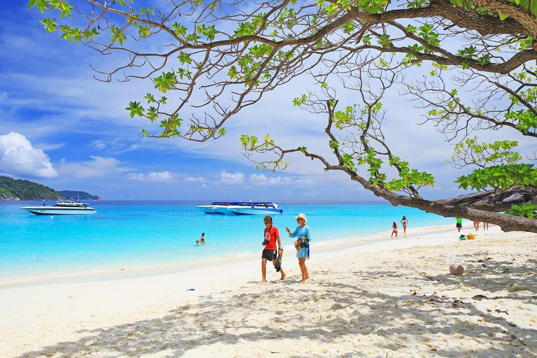 Phuket: Similan Islands Speedboat Tour with Lunch