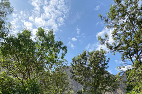 From Praia: Purgueira-Picos Sunrise Hike with Picnic Santiago: From the Beach, a Sunrise Hike to Purgueira-Picos with a Picnic