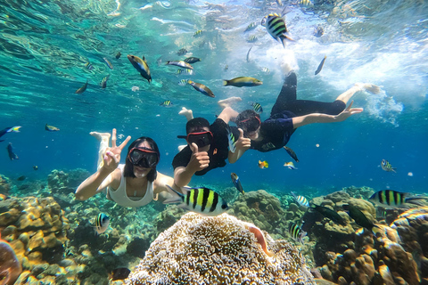 Gili Eilanden: Snorkel privé rondvaart met lokale gidsPrivé 3 uur met pick-up vanaf Gili Meno.