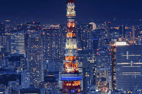 Tokyo Full Day Customizable Private Tour with English Guide