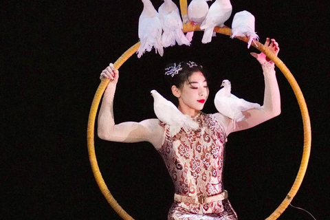 Shanghai ERA 2: Acrobatic Show & Stage Hacks Ticket