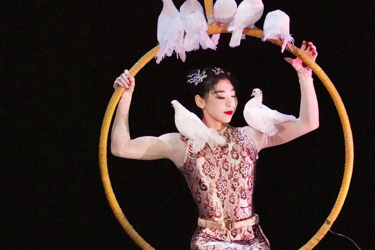 Shanghai ERA 2: Acrobatic Show & Stage Hacks Ticket