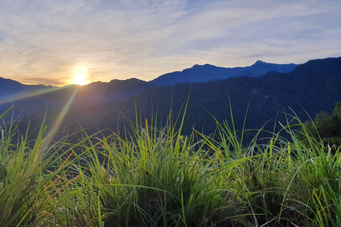 From Taipei: Private 3-Day Tour to Sun Moon Lake and Alishan Premium Hotels | Solo Traveler