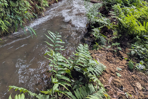 Kuang Si Waterfalls Hiking Adventure &amp; Morning Mekong Cruise