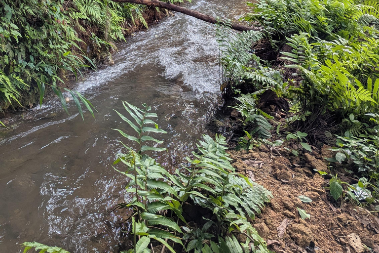 Kuang Si Waterfalls Hiking Adventure &amp; Morning Mekong Cruise