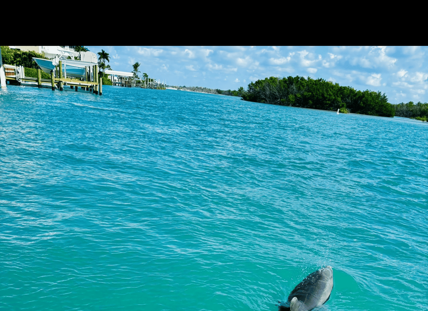 Fort Myers: Guidet Standup Paddleboarding eller Kajak tur