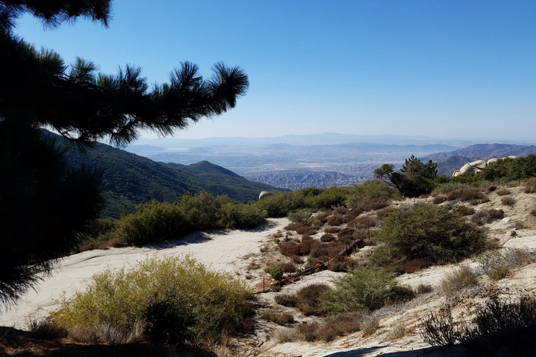 From San Diego: Two Day Camping and Hiking in Idyllwild