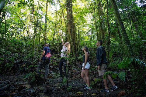 Volcán Arenal:Parque Nacional del Volcán Arenal Las mejores cosas que hacer