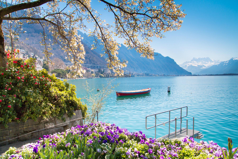 Escursione privata di un giorno: Losanna a Vevey, Montreux e il Castello di Aigle