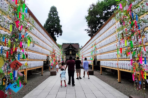 Kyoto: private and customized tour (walking/public transportation)4 hr guided tour