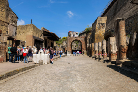Discover Herculaneum: Guided tour in English of the ancient Roman city Guided tour in English with return train ticket from Naples
