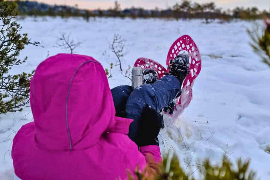 Riga: Ein epischer Moorschuhspaziergang in Lettlands wilder Natur. Foto: GetYourGuide