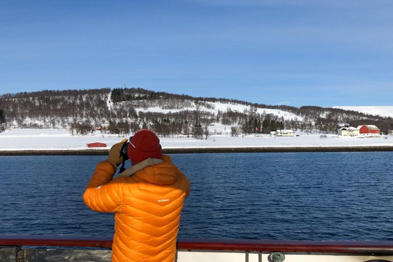 Tromsø: Cruzeiro pelo Fiorde Polar em um iate de luxo com almoçoCruzeiro pelo Fiorde Polar em um iate de luxo com almoço