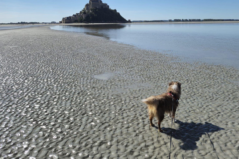 Bay of Mont Saint-Michel : Quicksands + Crossing on foot Bay of Mont Saint-Michel : Crossing the bay on foot