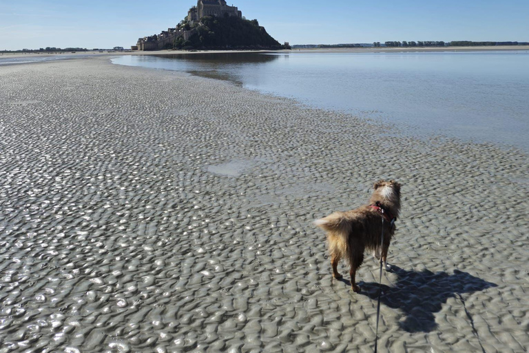 Bay of Mont Saint-Michel : Quicksands + Crossing on foot Bay of Mont Saint-Michel : Crossing the bay on foot