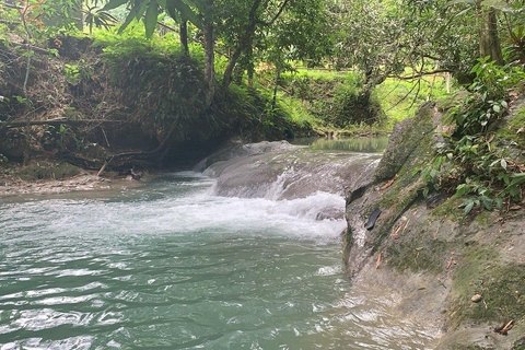 Paseo por el río Mayfield Falls con transporte privadoDesde Runaway Bay/ Ocho Ríos