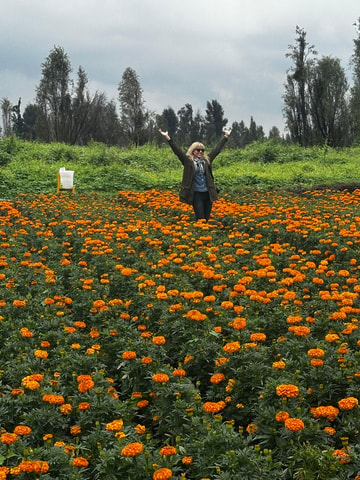 Xochimilco: The island of the dolls, games and drinks