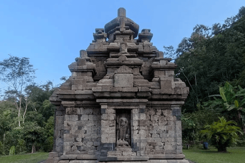 Selogriyo Temple & Java Rice Terrace Trek With Ticket