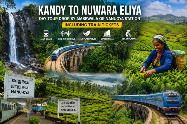 Kandy to Ella: Scenic Car Ride to Nanuoya & Train to Ella