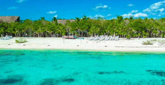 Cozumel: Mexican Mixology Workshop by the Sea