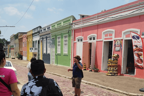 Tour privado de la ciudad en el centro histórico de ManaosTour de la ciudad privado