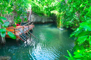 Punta Cana: Totenkopfaffen, Verkostungen auf der Farm & Schwimmen im Cenote